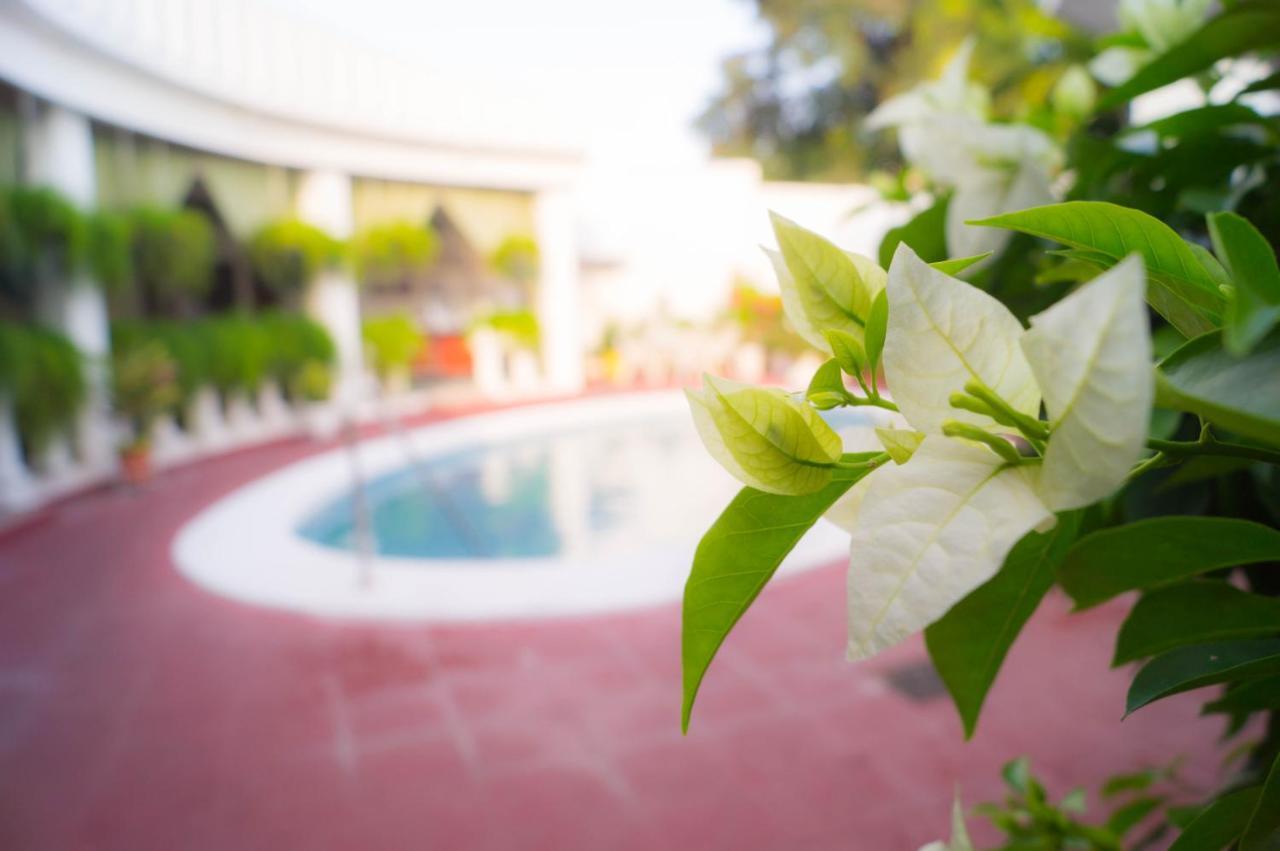 סאן סלבדור Hotel Grecia Real מראה חיצוני תמונה